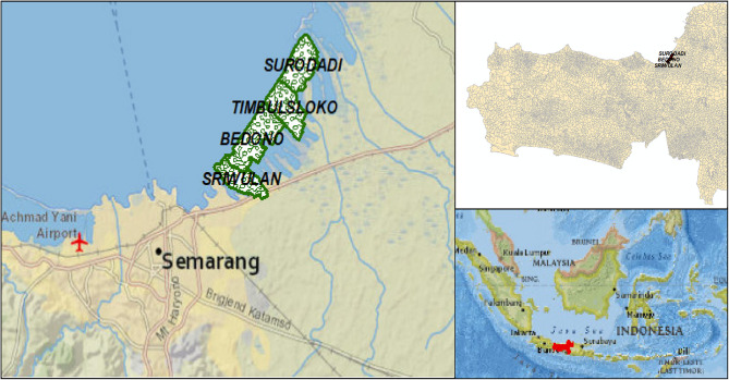 Vulnerability analysis and sustainable rehabilitation strategies for mangrove ecosystems in Bedono coastal area, Central Java.