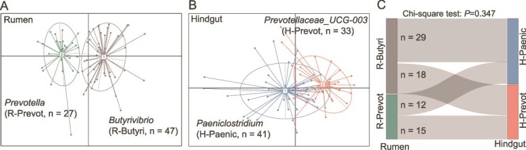 Temporal profiling of rumen and hindgut microbiota revealed enterotypes affecting the microbial interactions and assembly in the gut of dairy cows.