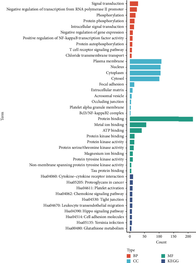 Uncovering Overlapping Gene Networks and Potential Therapeutic Targets in Osteoporosis and COVID-19 Through Bioinformatics Analysis.
