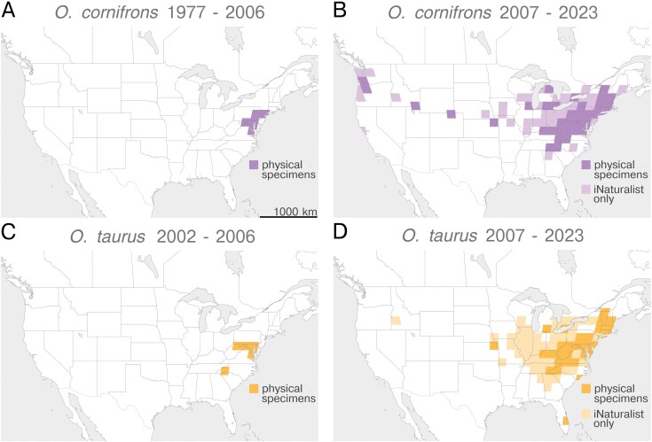Correction to: The establishment and potential spread of Osmia cornuta (Hymenoptera: Megachilidae) in North America.