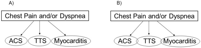 Takotsubo Syndrome in Patients With Acute Coronary Syndrome or Myocarditis.
