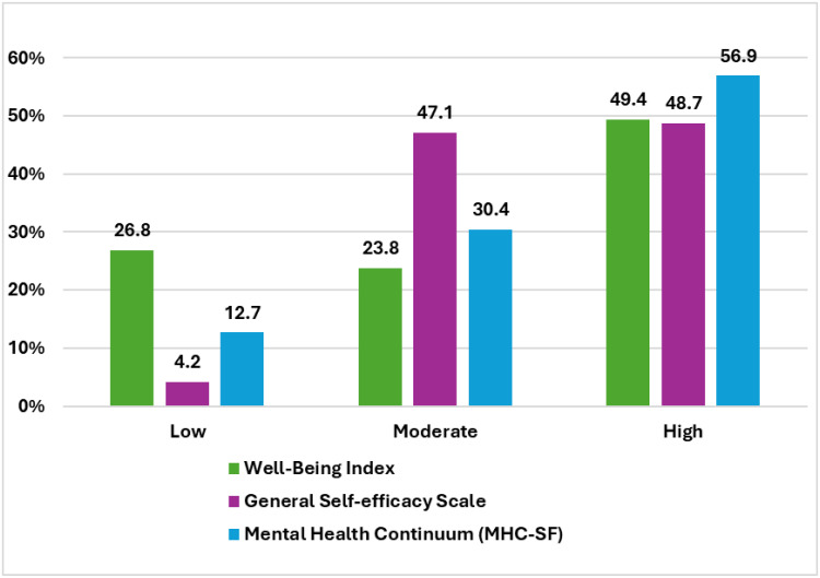An Analysis of Mental Health, Subjective Well-Being, and Self-Efficacy Among Nurses in the Qassim Health Cluster: Identification of Risk Levels.