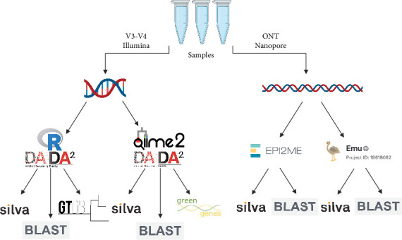 Benchmarking 16S rRNA Gene-Based Approaches to Bacterial Taxonomy Assignment Based on Amplicon Sequencing With Illumina and Oxford Nanopore.