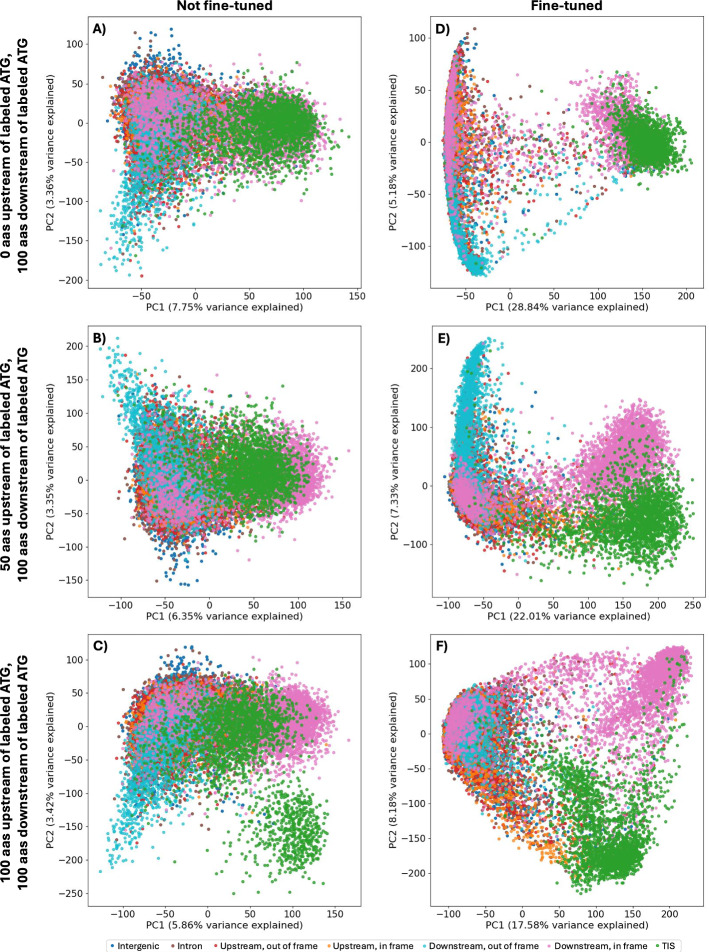 NetStart 2.0: prediction of eukaryotic translation initiation sites using a protein language model.