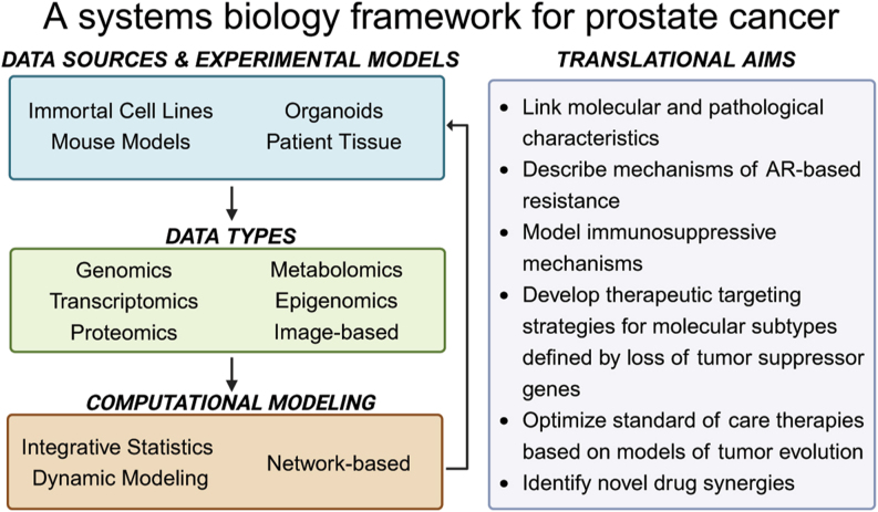 Systems biology successes and areas for opportunity in prostate cancer.