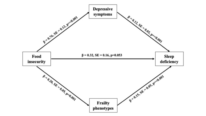 Food insecurity and sleep deficiency among older Filipinos: the mediating roles of depressive symptoms and frailty phenotypes.
