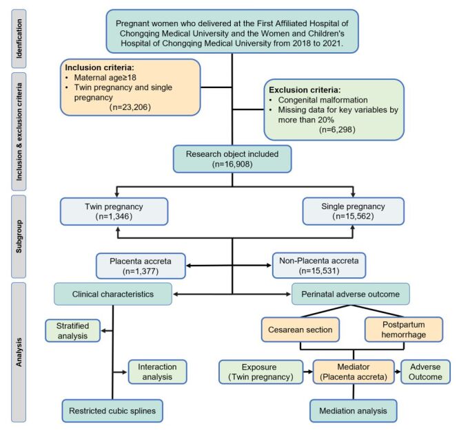 Differential risk and clinical characteristics of placenta accreta spectrum in twin and singleton pregnancies: implications for perinatal outcomes.