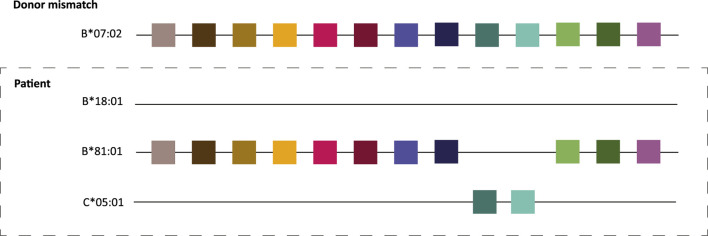 The Progress and Challenges of Implementing HLA Molecular Matching in Clinical Practice.
