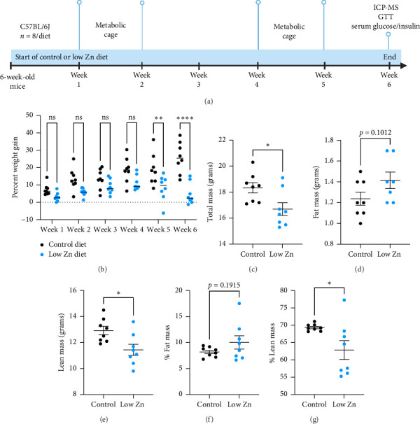 Severe Dietary Zinc Deficiency Does Not Significantly Alter Energy Balance in Adult Mice.