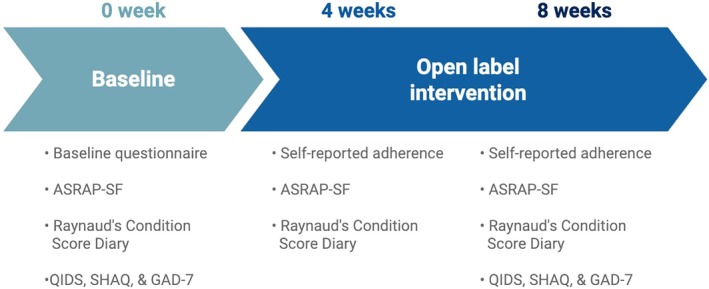 Effects of Audio-Guided Imagery on Raynaud Phenomenon in Connective Tissue Disease.