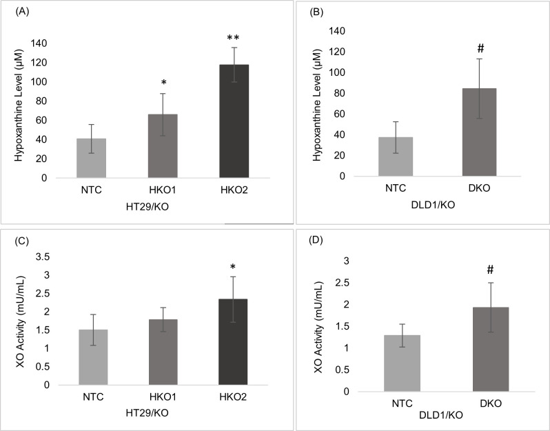 CRISPR/Cas9 mediated ENT2 gene knockout altered purine catabolic pathway and induced apoptosis in colorectal cell lines.