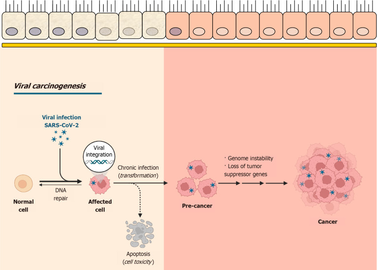 Exploring the oncogenic potential of SARS-CoV-2 in the gastrointestinal tract.