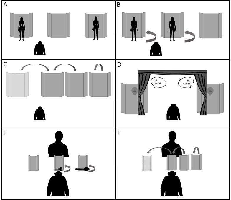 Mental representation of the locations and identities of multiple hidden agents or objects by a bonobo.
