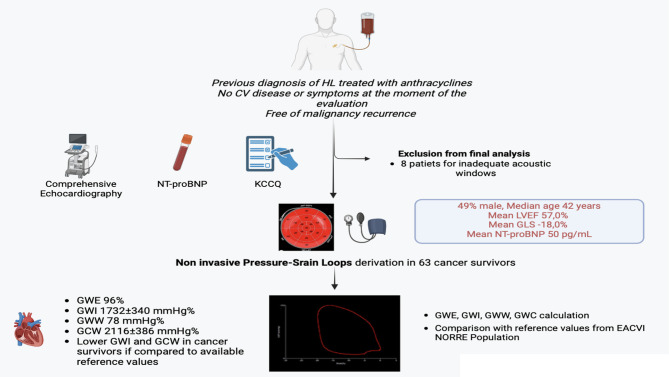 Strain-derived myocardial work indices in adult cancer survivors: results from an observational study and comparison with available reference ranges.