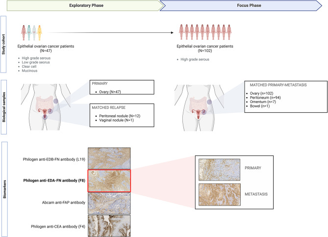 A comparative analysis of tumor markers reveals EDA fibronectin as a promising target in high-grade serous ovarian cancer.