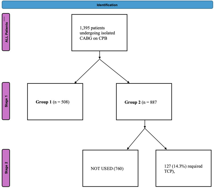 Determining the Predictors of Temporary Epicardial Pacing Wires Use After Isolated Coronary Artery Bypass Grafting Surgery.