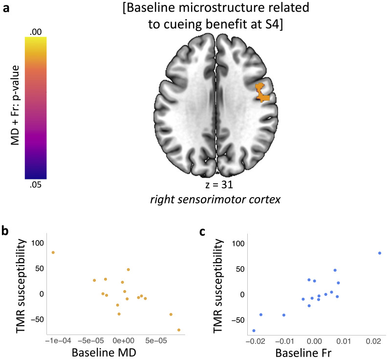 Distributed and gradual microstructure changes are associated with the emergence of behavioural benefit from memory reactivation.