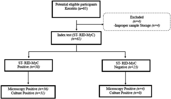 Rapid one-tube RPA-coupled CRISPR/Cas12a-based RID-MyC assay for the diagnosis of fungal keratitis.