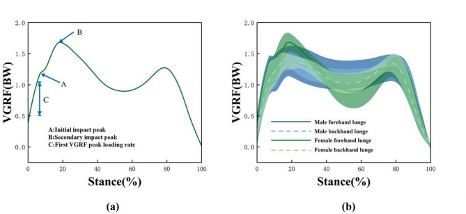 Effects of direction and gender on lower limb biomechanics during forward lunges in badminton players: a preliminary analysis.