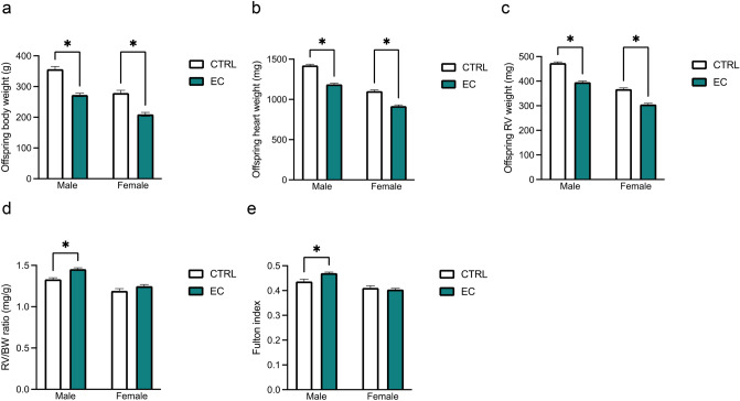 Maternal Electronic Cigarette Exposure Induces Dysregulation of Autophagy via Oxidative Stress/DNA Methylation in Pulmonary Hypertension Offspring.