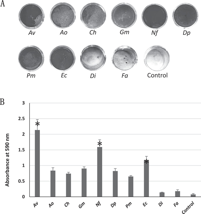 Cytokine release and NLRP3 inflammasome activation induced by low-abundance oral bacterial biofilms.