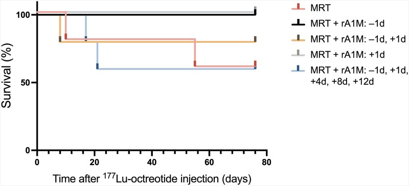 Evaluation of coadministration schedules of rA1M for kidney protection after administration of 177Lu-octreotide.