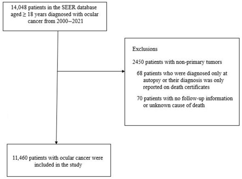 A Population-Based Study of Sex Differences in Cardiovascular Disease Mortality Among Adults with Ocular Cancer in the United States, 2000-2021.
