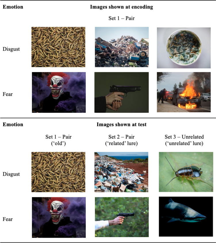 Disgust memory enhancement extends to more accurate memory but not more false memories.