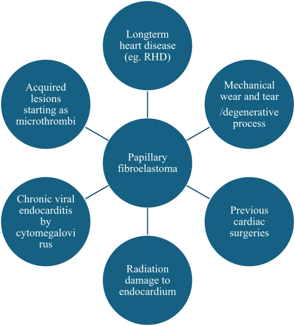 A tale of two valves: where rheumatic mitral disease meets aortic papillary fibroelastoma - a narrative review.