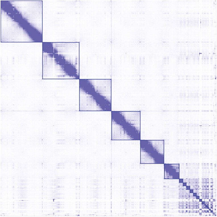 Abstract Image