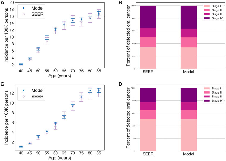 Simulation Modeling of Oral Cancer Development with Risk Stratification: How Potential Screening Programs Can Be Evaluated.