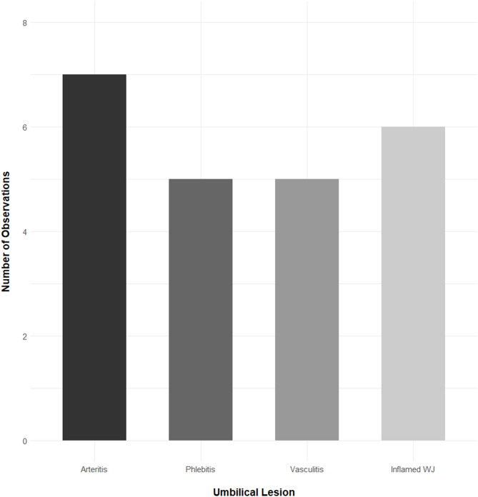Histopathological characterisation of omphalitis in piglets.