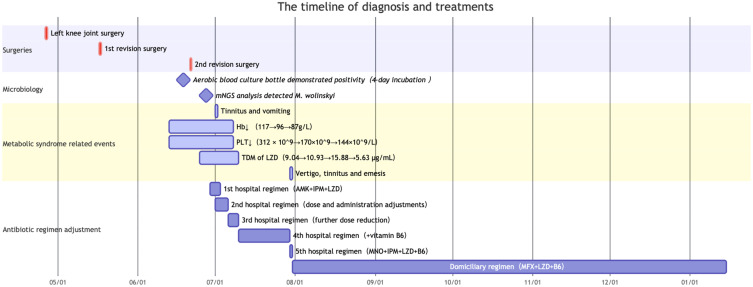 A Case Report of Refractory <i>Mycobacterium wolinskyi</i> Knee Infection in a Metabolic Syndrome Patient: mNGS Diagnosis and Pharmacist-Guided Therapy.