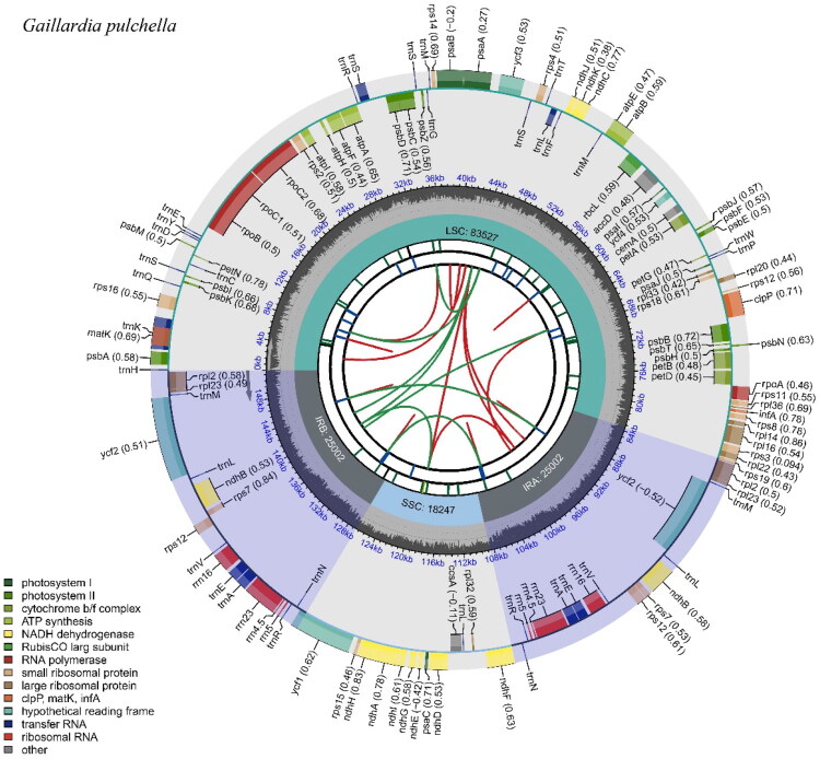 The complete chloroplast genome of <i>Gaillardia pulchella</i> Foug. and its phylogenetic analysis.