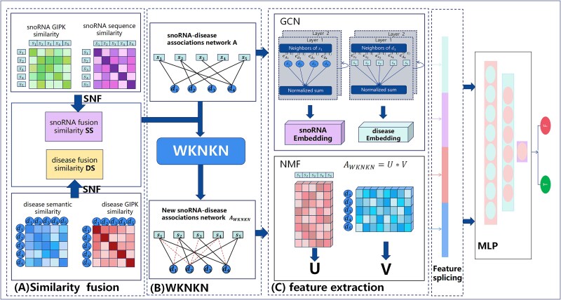 GCNMF-SDA: predicting snoRNA-disease associations based on graph convolution and non-negative matrix factorization.