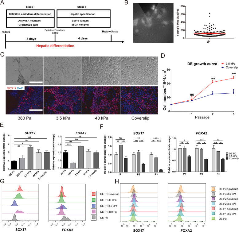 Correction: Consistent apparent Young's modulus of human embryonic stem cells and derived cell types stabilized by substrate stiffness regulation promotes lineage specificity maintenance.