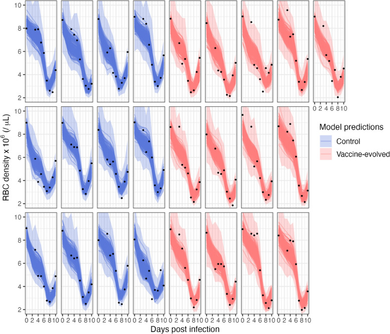 Understanding the traits underlying vaccine-driven virulence evolution in malaria parasites.
