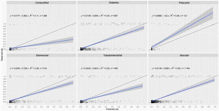 Kidney Failure Risk Equation performance according to the etiology of chronic kidney disease in the CKD-CAREMEAU cohort.
