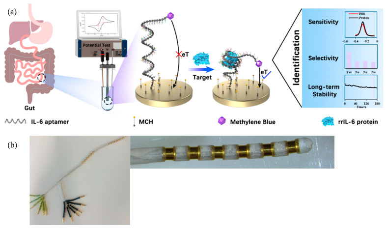 Towards an Implantable Aptamer Biosensor for Monitoring in Inflammatory Bowel Disease.