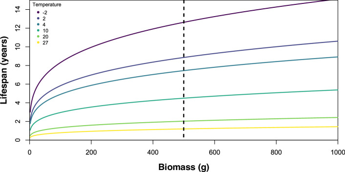 Constraining the lifespans of early animals of the Ediacaran.