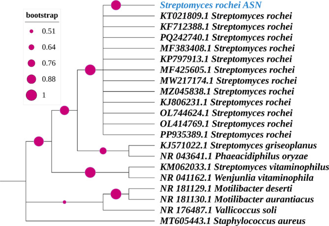 Antimicrobial and molluscicidal activities of Egyptian soil-derived Streptomyces rochei.