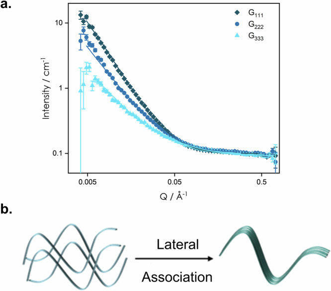 Self-sorting and co-assembly control in multicomponent supramolecular hydrogels with dual monomer and polymer statistical distribution.