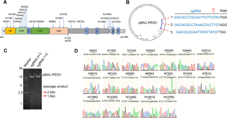 N-glycosylation of the PEDV spike protein modulates viral replication and pathogenicity.