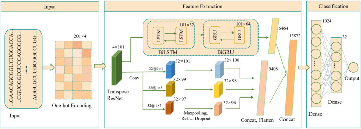 DeepRNAac4C: a hybrid deep learning framework for RNA N4-acetylcytidine site prediction.