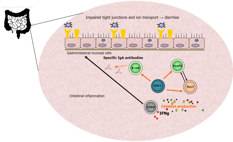 Exploring the oncogenic potential of SARS-CoV-2 in the gastrointestinal tract.
