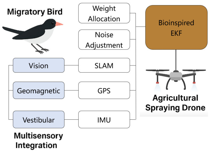 Migratory Bird-Inspired Adaptive Kalman Filtering for Robust Navigation of Autonomous Agricultural Planters in Unstructured Terrains.