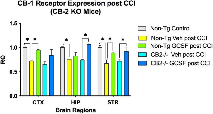 Promotion of recovery from Traumatic Brain Injury (TBI) by Granulocyte Colony-Stimulating Factor (G-CSF) treatment requires cannabinoid receptor type 2 activity.