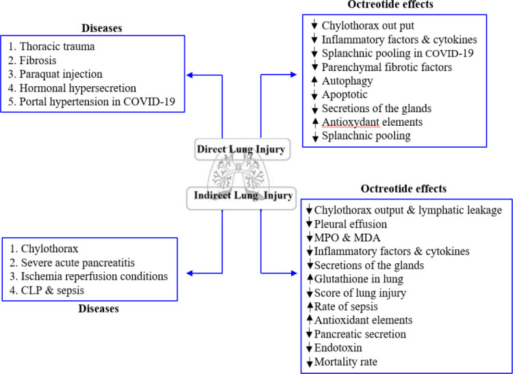 Octreotide and direct/indirect lung injury.