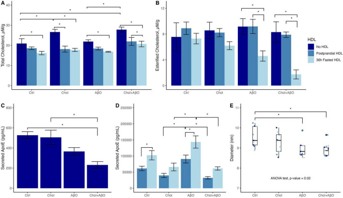 HDL from 36-h fasted participants potently promotes efflux of cholesteryl ester from activated microglia.