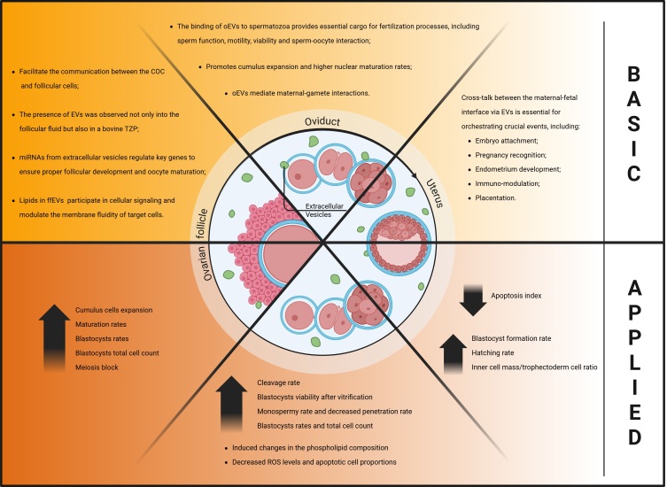 Extracellular vesicles in female reproduction: from basic research to application.